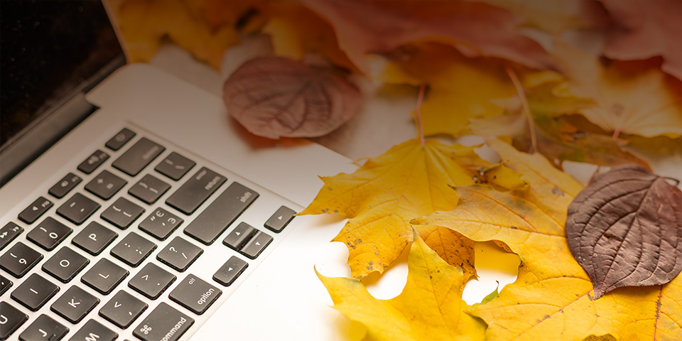 Computer with fall leaves around